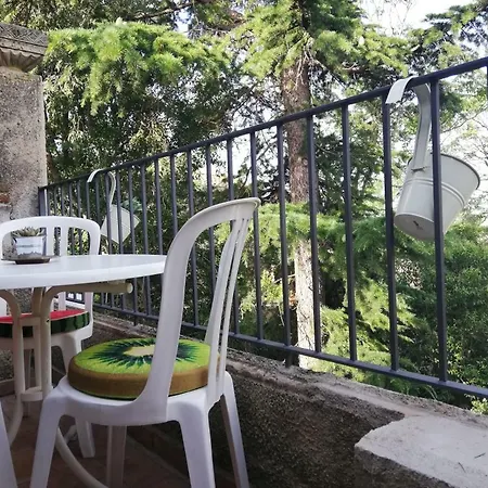 Cactus Appartement *
