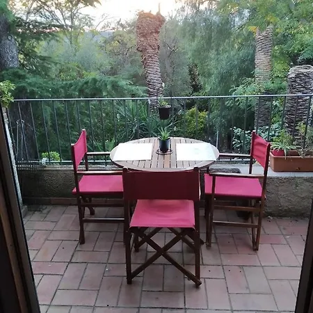 Cactus Apartment
