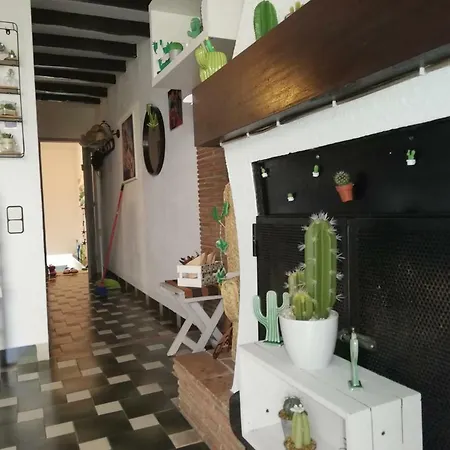 Apartment Cactus