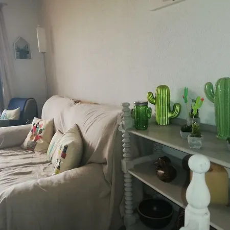 Cactus