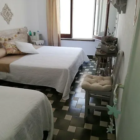 Cactus Apartment *